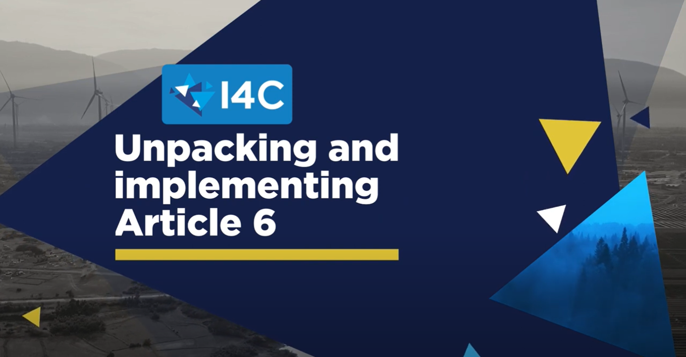 Unpacking and implementing Article 6