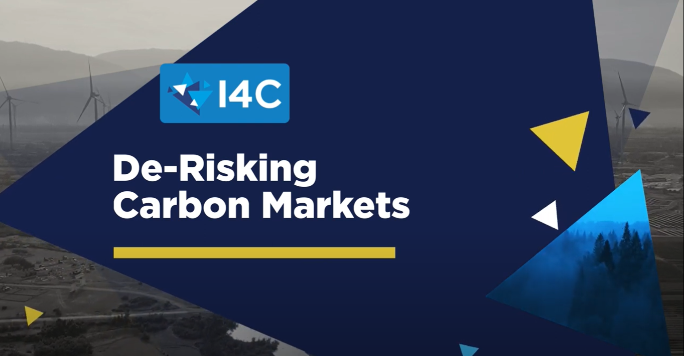 De-Risking Carbon Markets