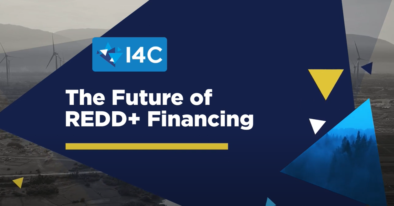 The Future of REDD+ Financing
