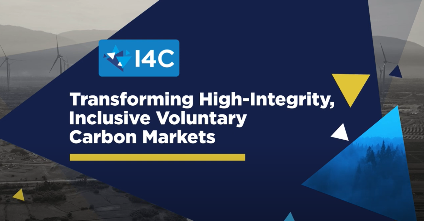 Transforming High-Integrity, Inclusive Voluntary Carbon Markets