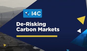 De-Risking Carbon Markets