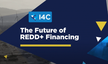 The Future of REDD+ Financing